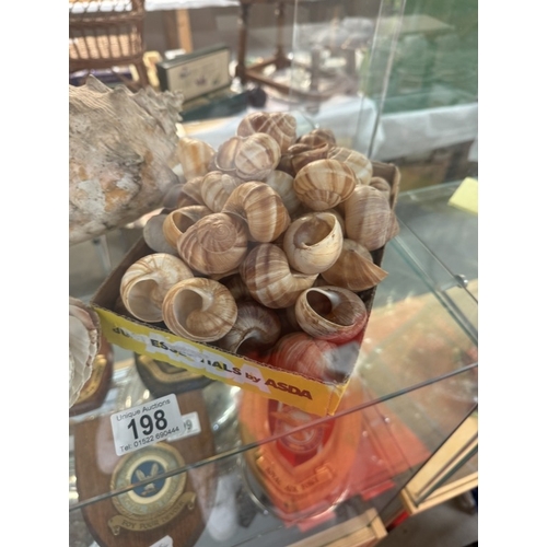 198 - A quantity of scallop shells, snail shells, a large shell and 2 escargots dishes