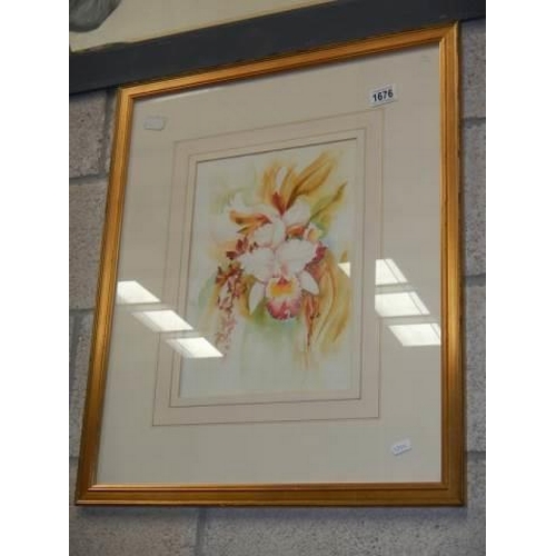 1676 - A framed and glazed watercolour of orchids, COLLECT ONLY.