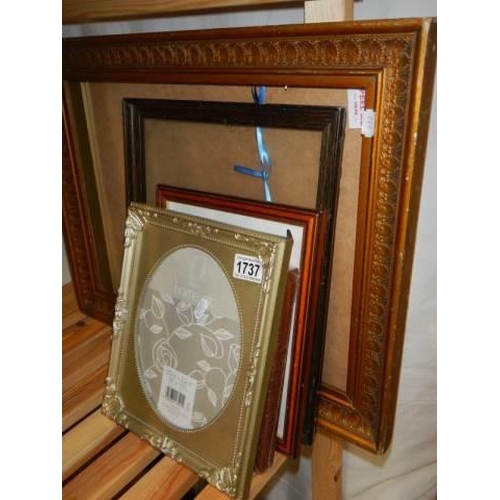 1737 - A quantity of assorted picture frames. COLLECT ONLY.