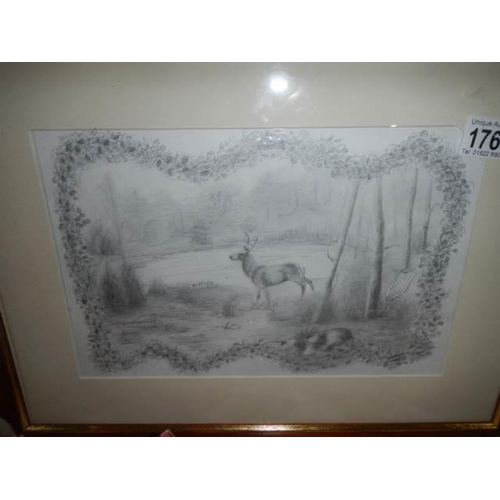 1764 - 2 framed and glazed pencil drawings of deer