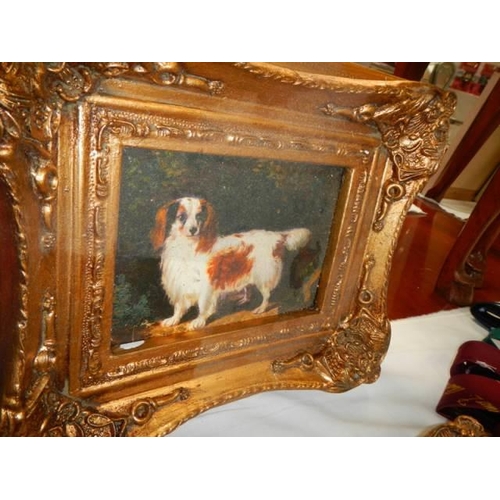 1782 - 2 studies of dogs in lovely gilt frames