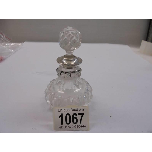 Lot 1067      