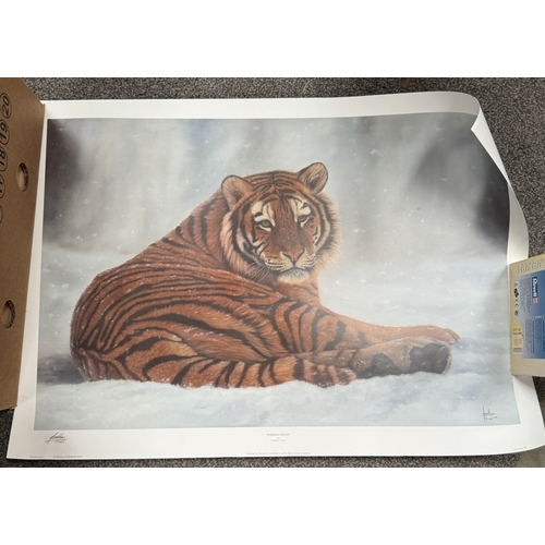 239 - Five framed & glazed Jonathan Truss original drawings of Lions & Tiger & 2 tiger prints