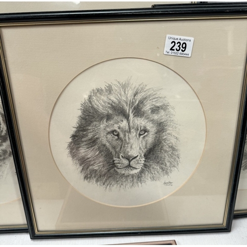 239 - Five framed & glazed Jonathan Truss original drawings of Lions & Tiger & 2 tiger prints