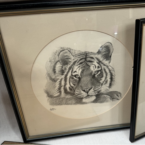 239 - Five framed & glazed Jonathan Truss original drawings of Lions & Tiger & 2 tiger prints