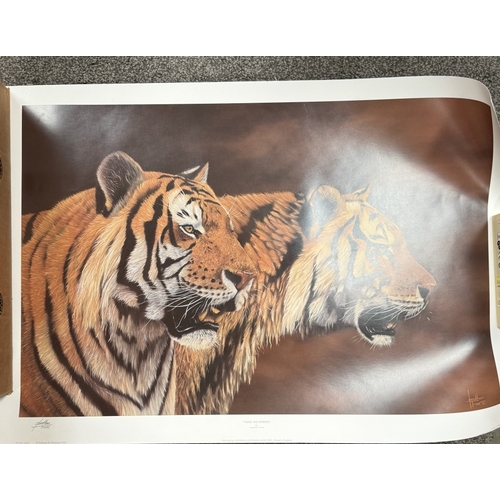 239 - Five framed & glazed Jonathan Truss original drawings of Lions & Tiger & 2 tiger prints