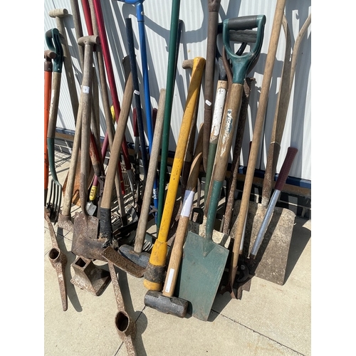 299 - A large quantity of garden tools