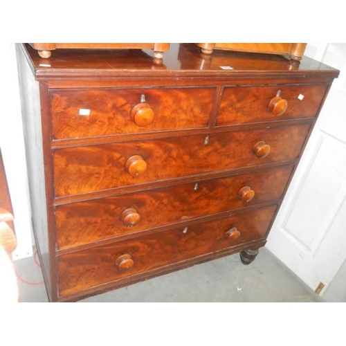 1559 - A mahogany two over three chest of drawers. COLLECT ONLY.