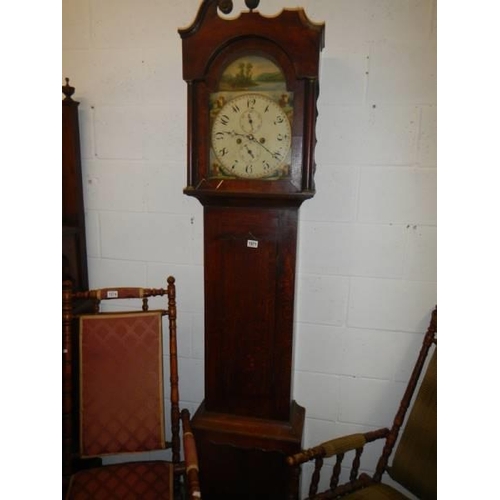 1571 - An 8 day painted dial Grandfather clock, in working order. COLLECT ONLY.