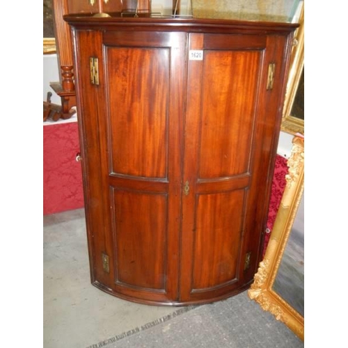 1620 - A mahogany bow fronted wall mounting corner cupboard, COLLECT ONLY.