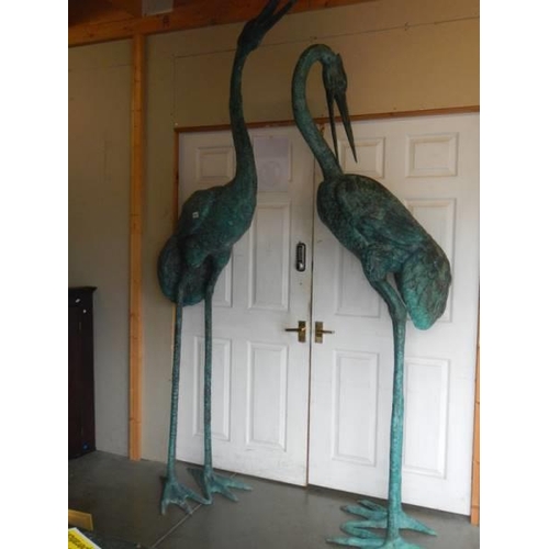 1631 - A tall pair of 20th century bronze storks, 248 cm tall. COLLECT ONLY.