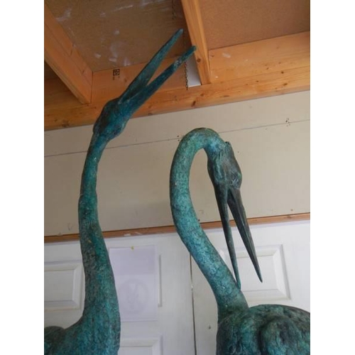 1631 - A tall pair of 20th century bronze storks, 248 cm tall. COLLECT ONLY.