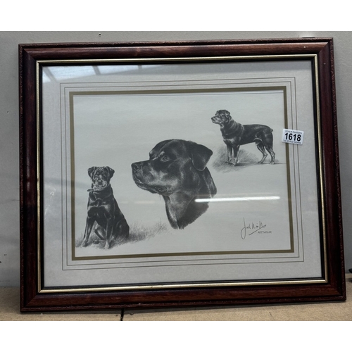 1618 - A framed print of Rottweiler dogs