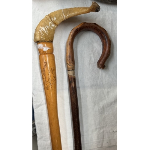 1627 - A Scottish horn handle walking stick & one other