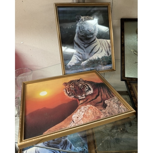 1642 - A good selection of tiger themed pictures