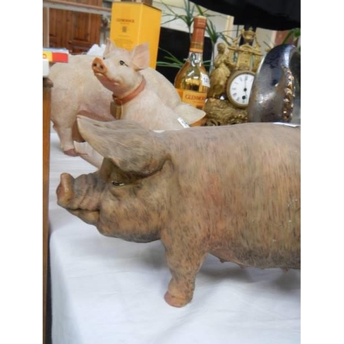 1498 - Four assorted ceramic pigs of different sizes. COLLECT ONLY.