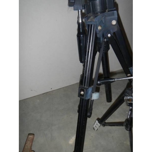 1556 - Two camera tripods.