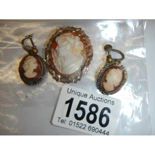 1586 - A Cameo brooch and cameo earrings.