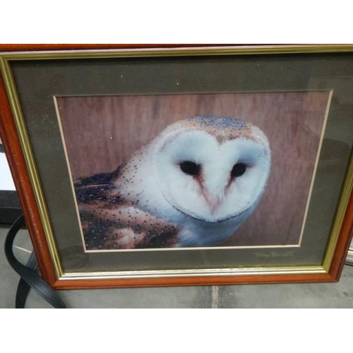 1596 - A quantity of owl pictures etc.,