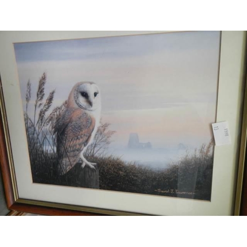 1596 - A quantity of owl pictures etc.,