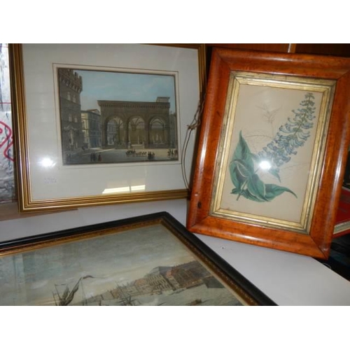 1669 - A mixed lot of old framed and glazed pictures. COLLECT ONLY.