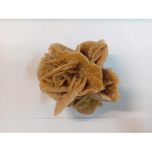 1290 - A Desert Rose selenite gypsum crystal formation 1460 grams.