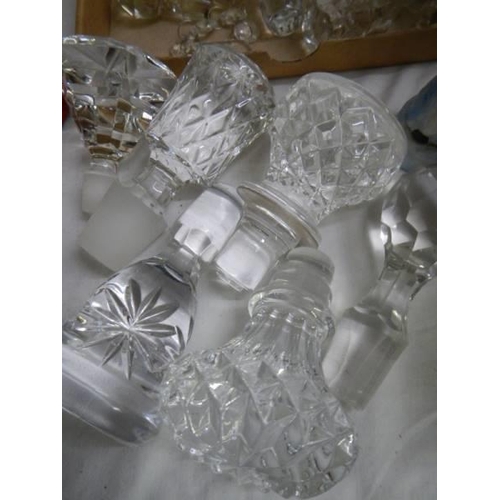 704 - A large quantity of glass decanter stoppers.