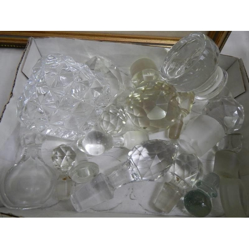 704 - A large quantity of glass decanter stoppers.