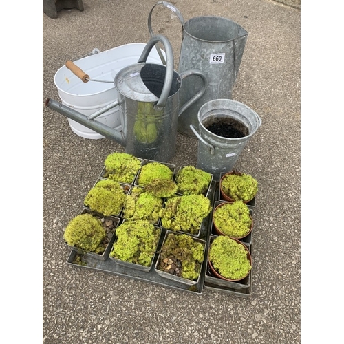 660 - An assortment of gardening jugs, A watering can etc