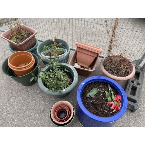 675 - A large collection of plastic plant pots