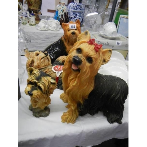 885 - A collection of Yorkshire Terrier figures, COLLECT ONLY.