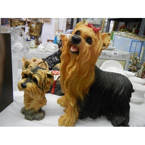 885 - A collection of Yorkshire Terrier figures, COLLECT ONLY.