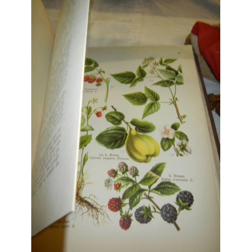 903 - A German encyclopaedia of plants with lots of colour plates.