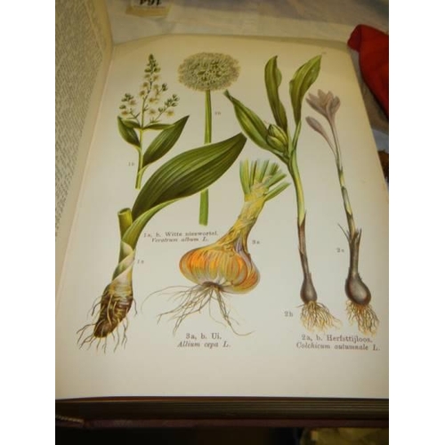 903 - A German encyclopaedia of plants with lots of colour plates.