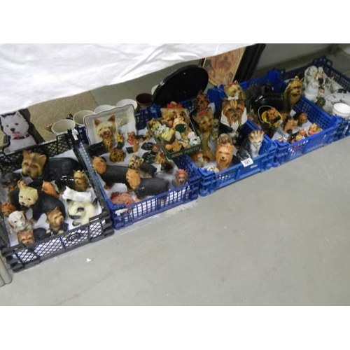 921 - Five good trays of Yorkshire Terrier figures, mugs, pictures etc., COLLECT ONLY.