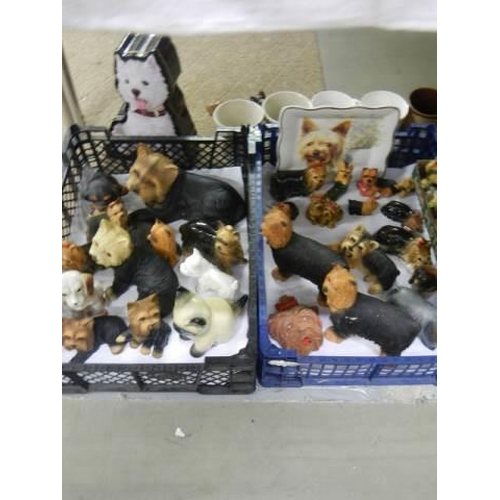 921 - Five good trays of Yorkshire Terrier figures, mugs, pictures etc., COLLECT ONLY.