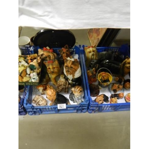 921 - Five good trays of Yorkshire Terrier figures, mugs, pictures etc., COLLECT ONLY.