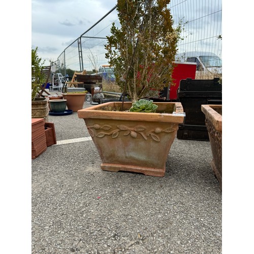 630 - 5 Square terracotta planters