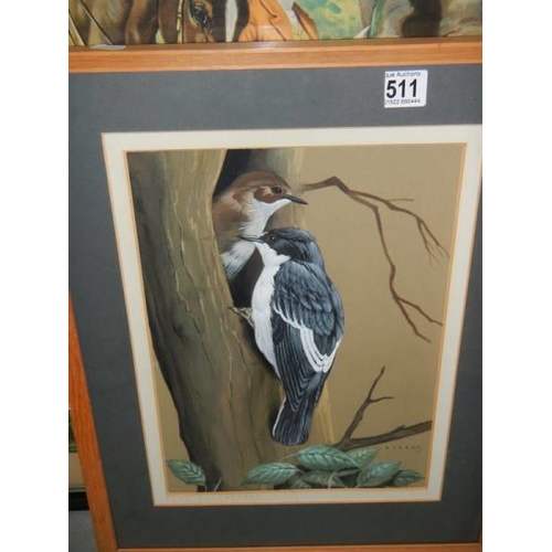 511 - A framed and glazed watercolour of pied flycatchers signed Crank, COLLECT ONLY.