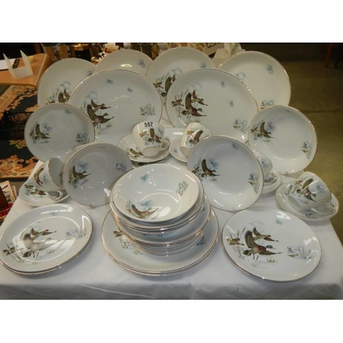 557 - In excess of 30 pieces of Ironstone tableware decorated with flying ducks. COLLECT ONLY.