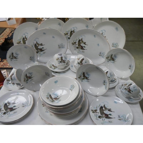 557 - In excess of 30 pieces of Ironstone tableware decorated with flying ducks. COLLECT ONLY.