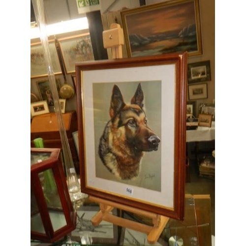 568 - A good framed and glazed watercolour painting of a German Shepherd signed Brian Hupfield, COLLECT ON... 