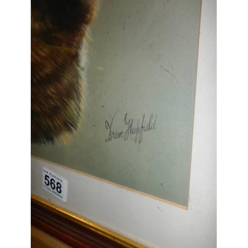 568 - A good framed and glazed watercolour painting of a German Shepherd signed Brian Hupfield, COLLECT ON... 