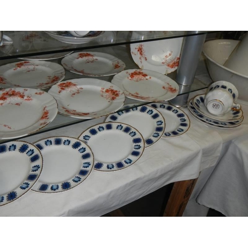 589 - Two shelves of assorted tea plates. COLLECT ONLY