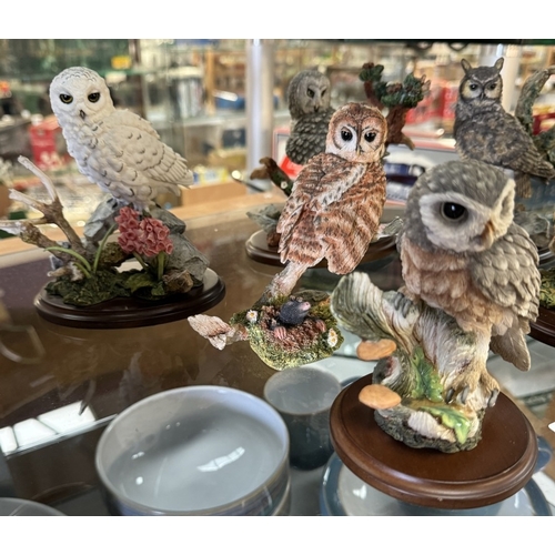 324 - 6 Hand painted owls by Country artists