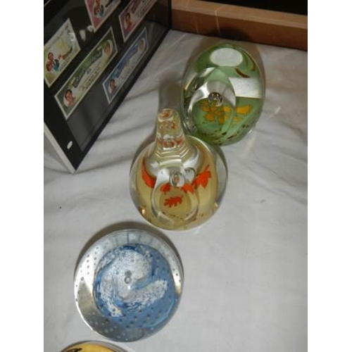 647 - A mixed lot of paperweights including Caithness Daffodils etc.,