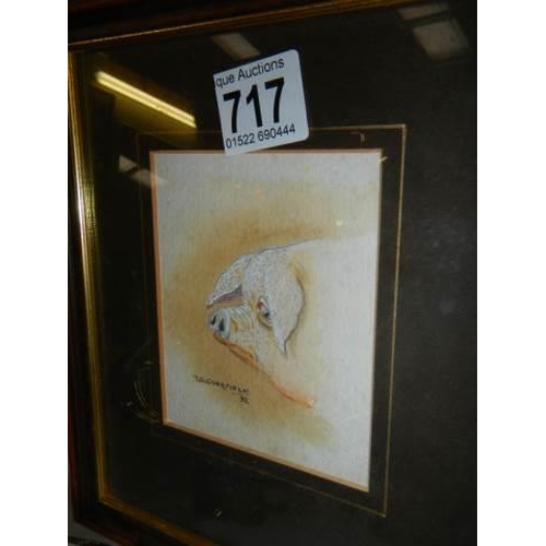 Lot 717       