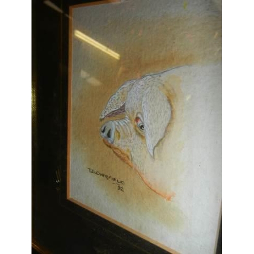 717 - A small framed and glazed watercolour of a pig signed J Doverfield, '92.