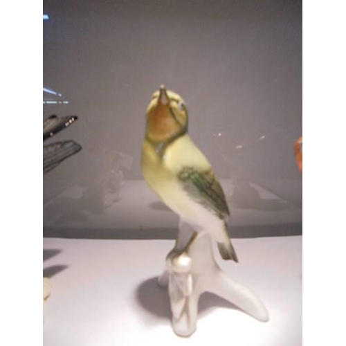 1234 - Four porcelain bird figures.