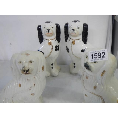 1592 - Two pairs of mid 20th century Staffordshire spaniels.